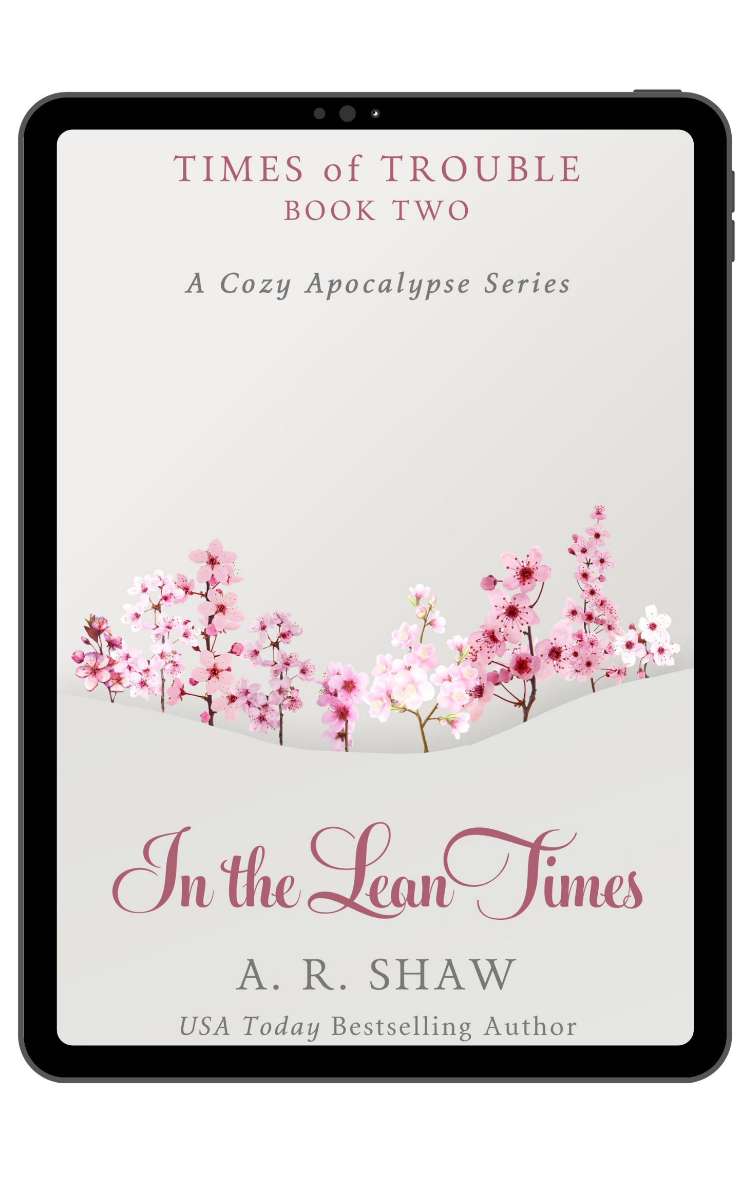 Times of Trouble, Book 2 - In the Lean Times