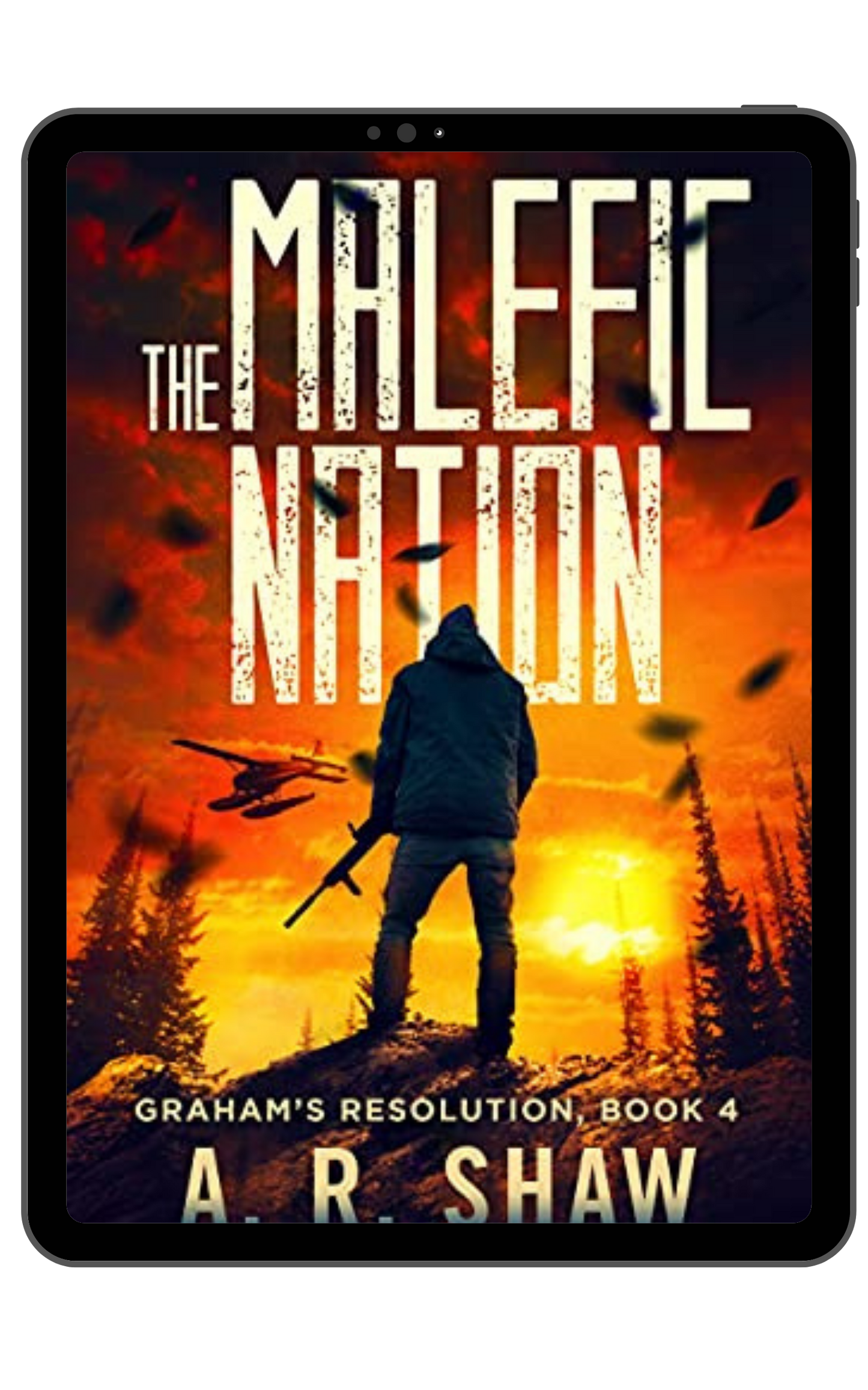 Graham's Resolution - Book 4 - The Malefic Nation