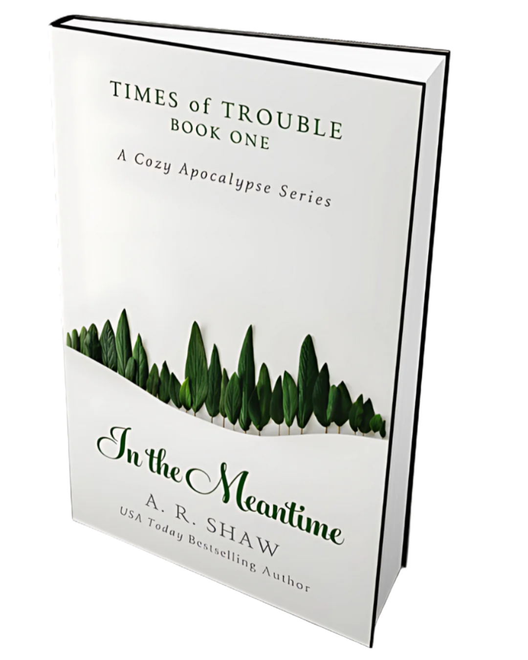 Times of Trouble, Book 1 - In the Meantime