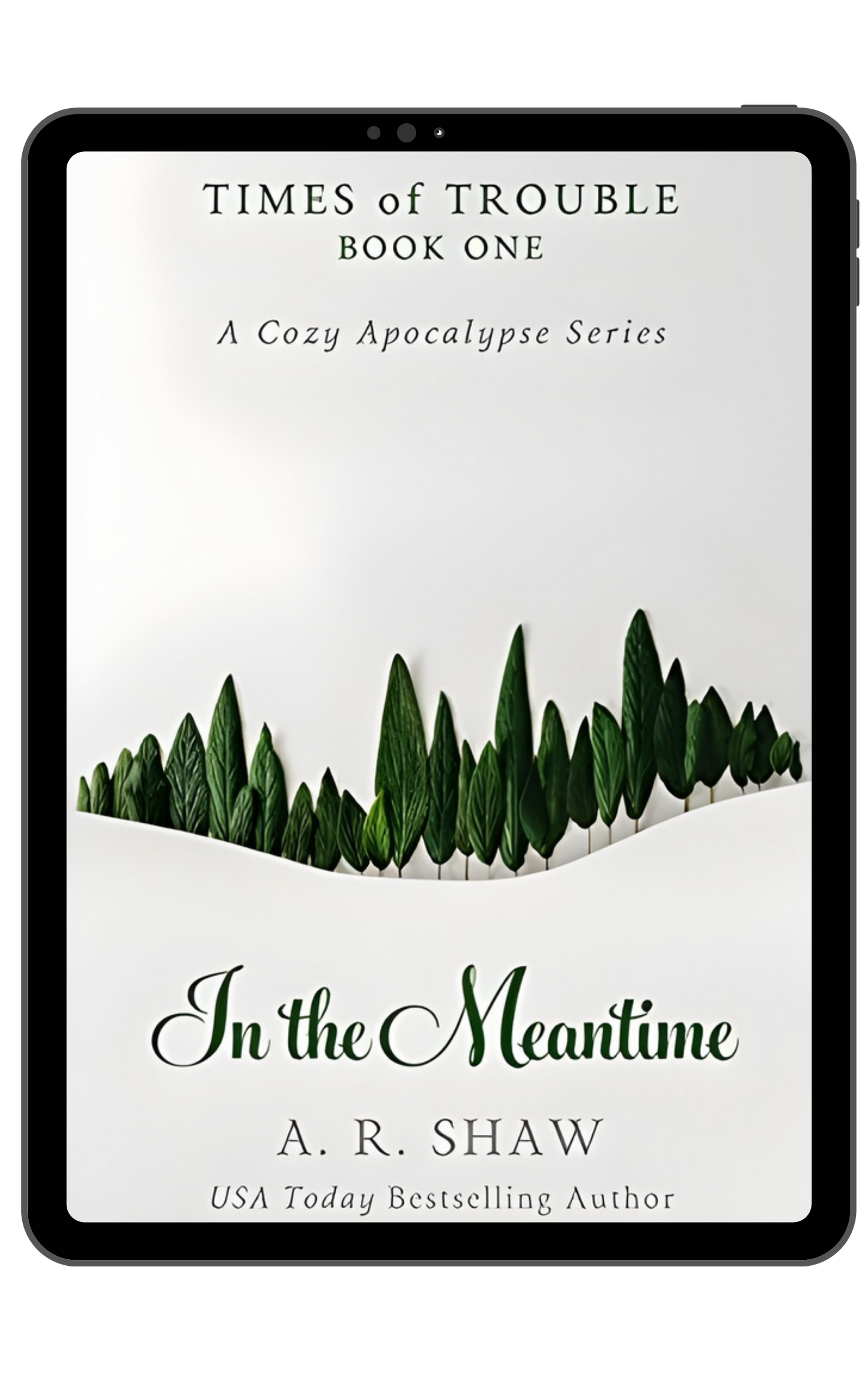 Times of Trouble, Book 1 - In the Meantime