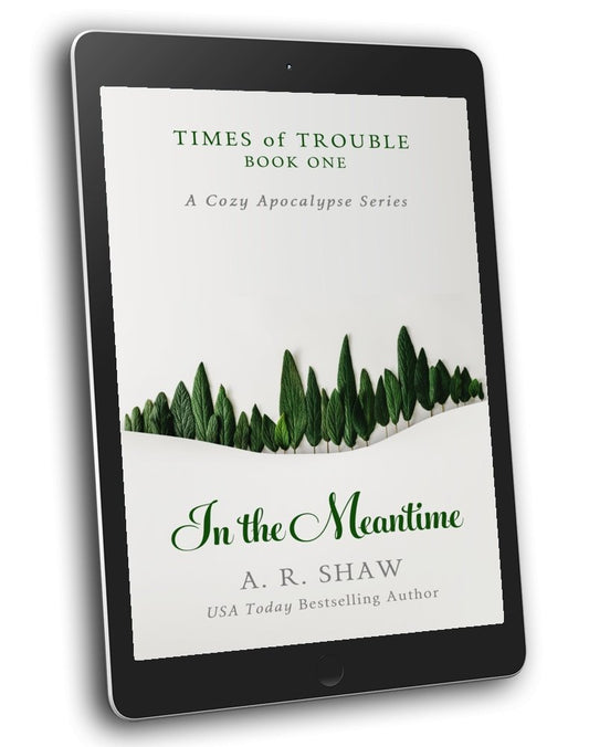 Times of Trouble, Book 1 - In the Meantime - ARShawBooks.com